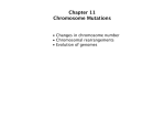 Chapter 11 Chromosome Mutations