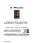 The Abyssinian - Cedar Grove Veterinary Services