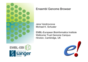 Ensembl Genome Browser - molecularevolution.org
