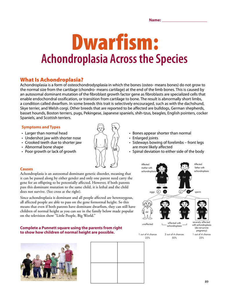 Dwarfism Height Chart
