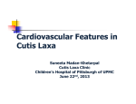 Cardiovascular Features in Cutis Laxa
