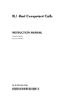 Manuals: XL1-Red Competent Cells