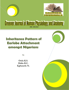 Inheritance Pattern of Earlobe Attachment
