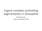 A gene complex controlling segmentation in Drosophila