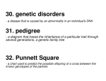 30. genetic disorders 31. pedigree 32. Punnett Square