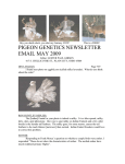 PIGEON GENETICS NEWSLETTER EMAIL MAY 2009