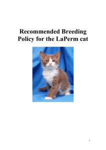 Recommended Breeding Policy for the LaPerm cat - Kia-Ora