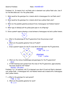 Genetics Problems ans