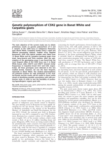 Genetic polymorphism of CSN2 gene in Banat White and Carpatina