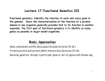 Lecture 17 Functional Genetics III Basic Approaches