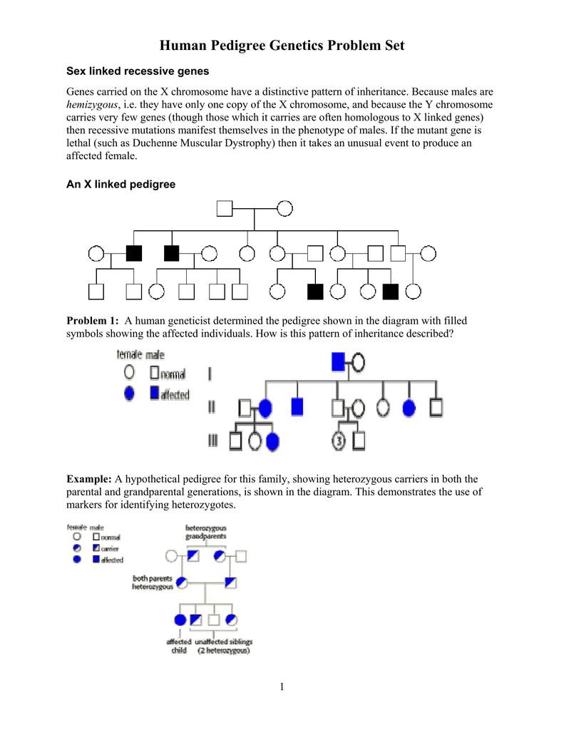 Human Pedigree Problems