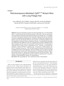 Retrotransposon-Mediated Fgf5go-Utr Mutant Mice