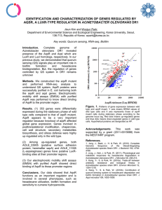 identification and characterization of genes regulated by aqsr, a luxr