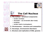 The Cell Nucleus