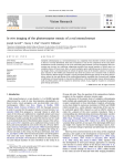 In vivo imaging of the photoreceptor mosaic of a rod monochromat