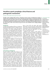Hereditary spastic paraplegia: clinical features and pathogenetic