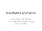 Monohybrid Inheritance