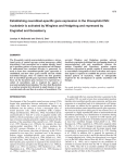 Establishing neuroblast-specific gene expression in the Drosophila