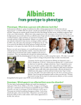 Albinism - xy-zoo