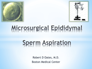 Microsurgical Epididymal Sperm Aspiration