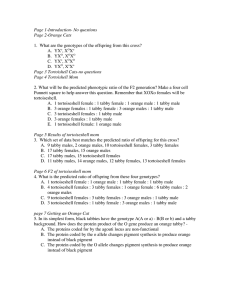 Page 1-Introduction- No questions Page 2
