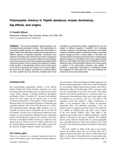 Polymorphic mimicry in Papilio dardanus: mosaic