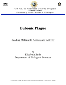Bubonic Plague Reading Material to Accompany Activity by Elizabeth Buda