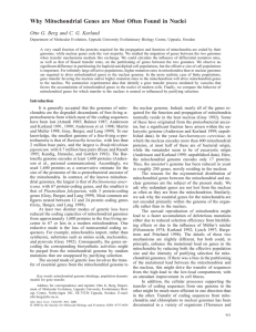 Why Mitochondrial Genes are Most Often Found in Nuclei