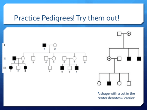 Practice Pedigrees! Try them out! center denotes a ‘carrier’