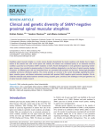 BRAIN Clinical and genetic diversity of SMN1-negative proximal spinal muscular atrophies