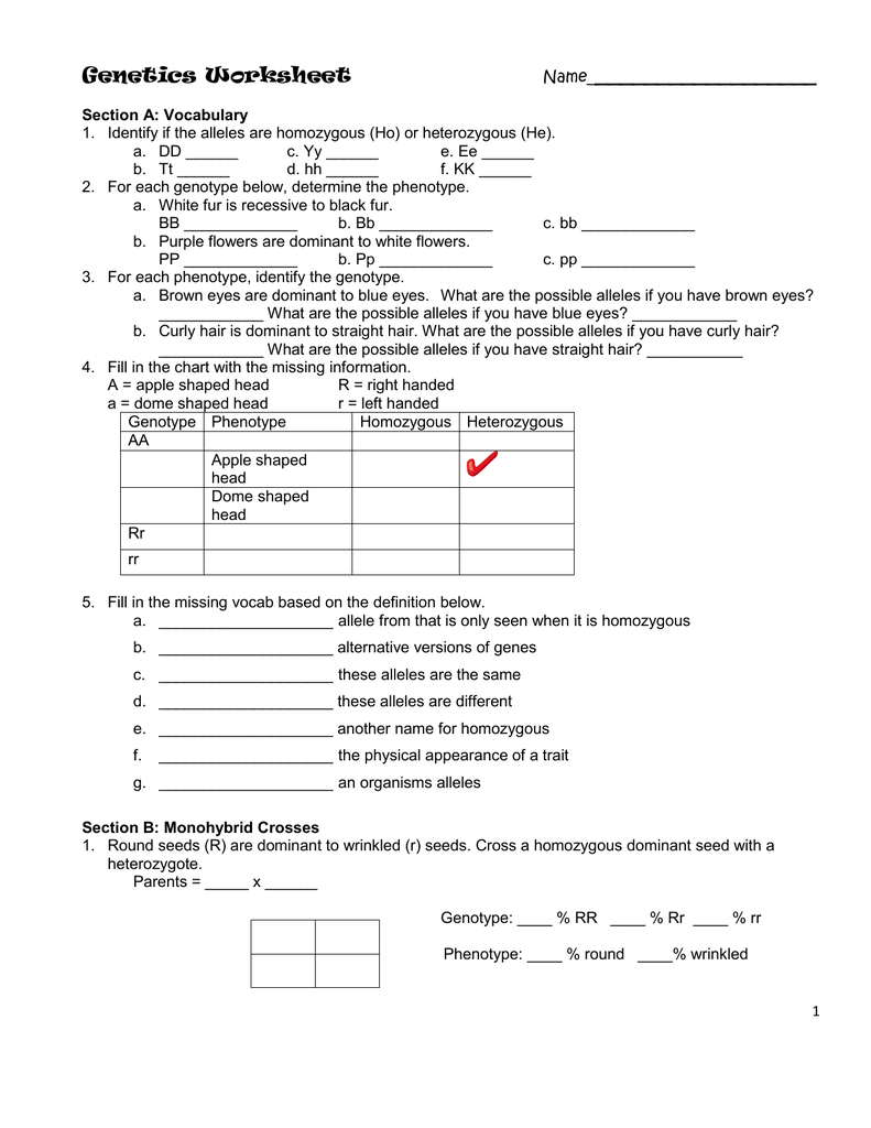 Genetics Worksheet Intended For Genetics Worksheet Middle School