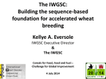 PPT - International Wheat Genome Sequencing Consortium