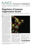 Regulator of tumour suppression found Research Highlights