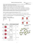 Blood Type Punnett Square Practice