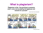 Plagiarism PowerPoint - Bluewater District School Board