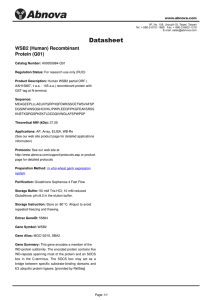 WSB2 (Human) Recombinant Protein (Q01)