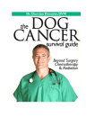 Dog Cancer Survival Guide: Beyond Surgery, Chemotherapy