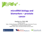 microRNA biology and biomarkers – prostate cancer