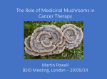 The Role of Medicinal Mushrooms in Cancer Therapy