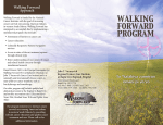 Walking Forward Approach