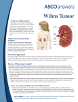 Wilms Tumor - Cancer.Net