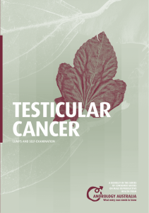 testicular cancer - Andrology Australia