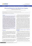 Ultrasound Methods for Lower Rectal Cancer Staging