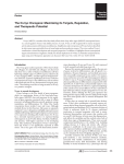 The N-myc Oncogene: Maximizing its Targets, Regulation, and