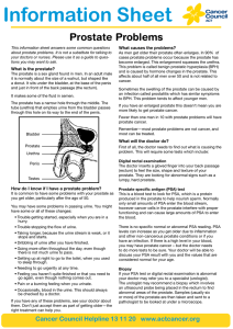 Prostate Problems What causes the problems?