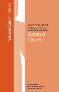 Stomach Cancer National Cancer Institute What You Need