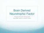 Brain Derived Neurotrophic Factor A Sound mind and a Sound body