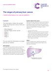 "The stages of primary liver cancer (CRUK 2 pages)" PDF