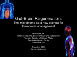 Gut-Brain Regeneration