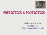 Dr. Neerja Hajela Ppt Probiotics Prebiotics ILSI final